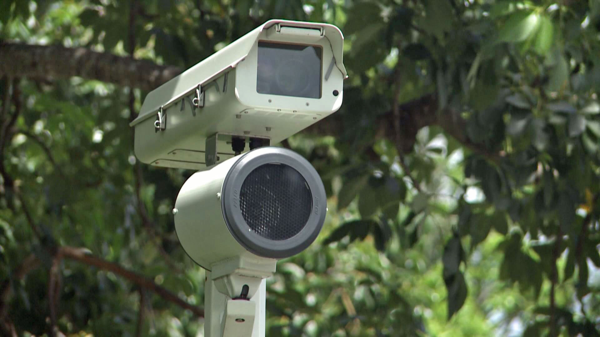 Red Light Camera Bill Not Moving Forward In The Senate Wtsp Com