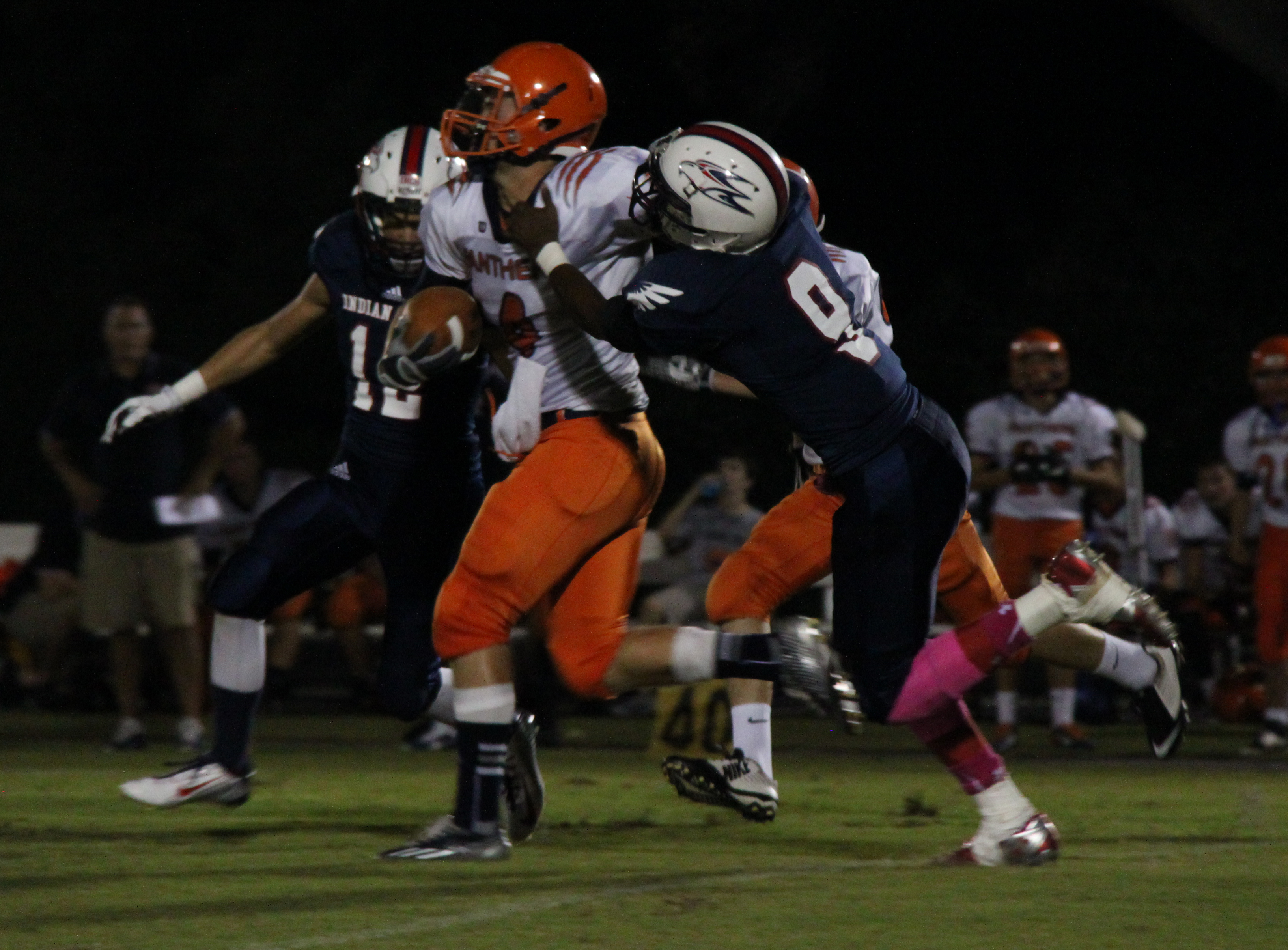 Golden Eagles Soar over the Panthers | wtsp.com 