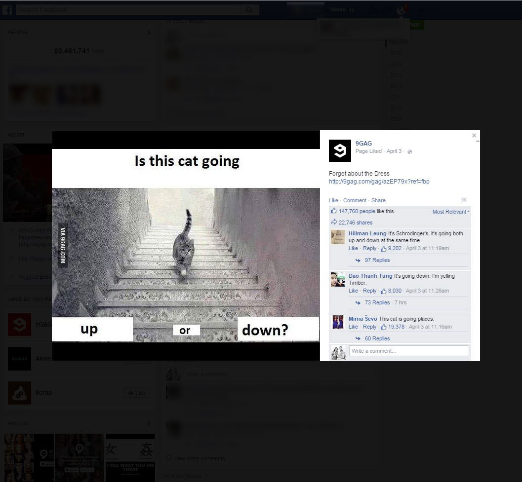 The needs to know Is this cat going up or down the stairs