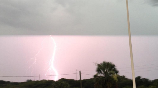Storms knock down trees, power lines | wtsp.com