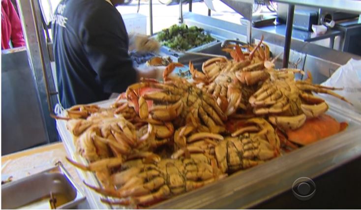 Dangerous Toxin Closing California Crab Season 