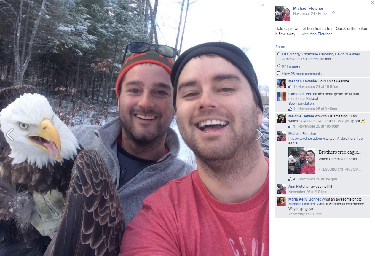 2 Canadians free bald eagle from trap, take selfie with it | wtsp.com