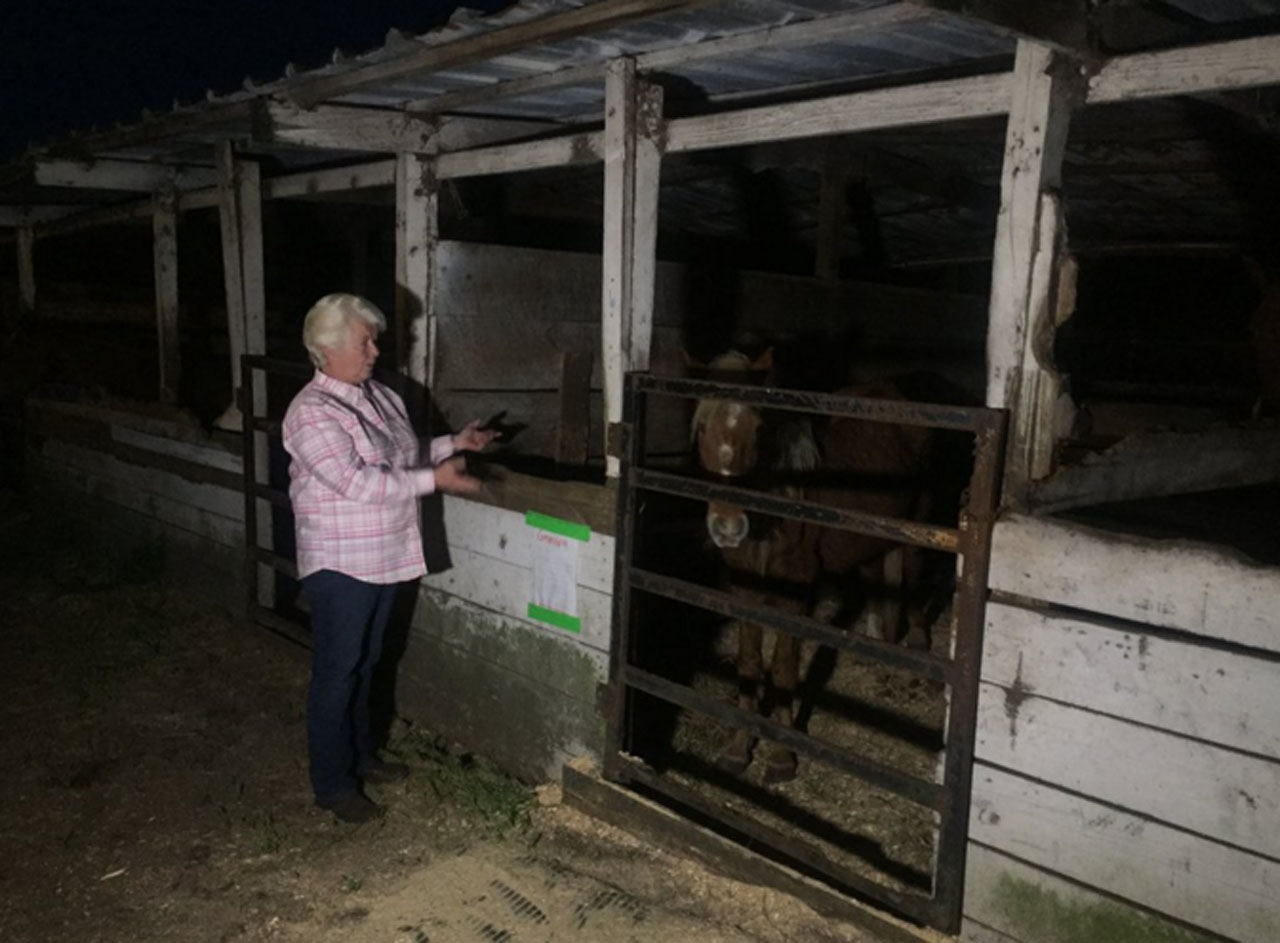 Teen hurt; mom wants riding stables regulated