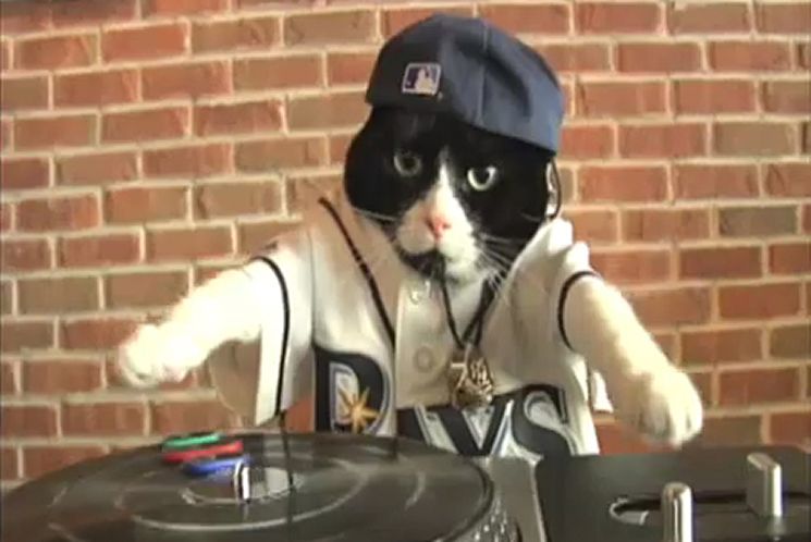 Tampa Bay Rays mascot DJ Kitty interacts with young fans before a