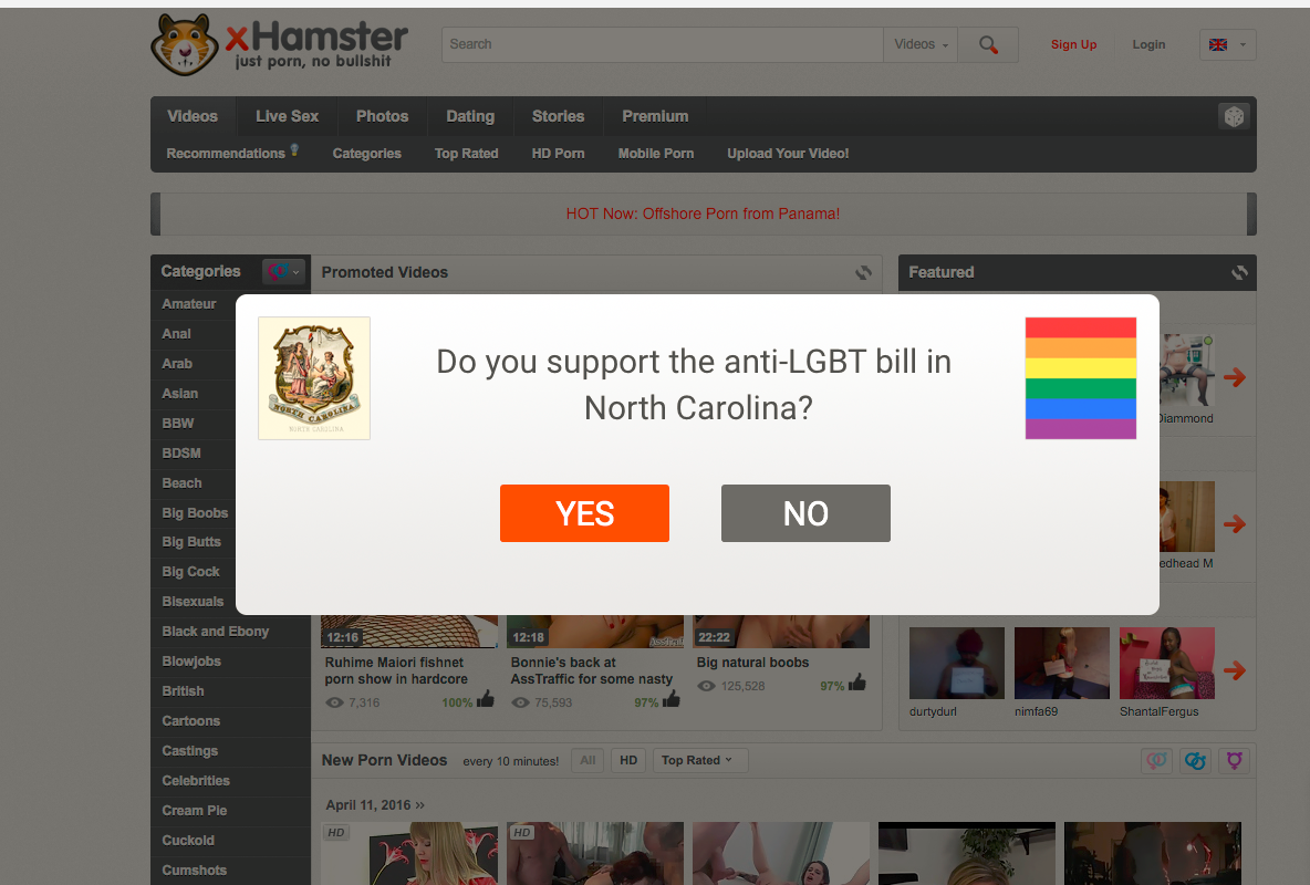 1184px x 800px - Porn giant xHamster blocks N.C. users who support anti-LGBT law | wtsp.com