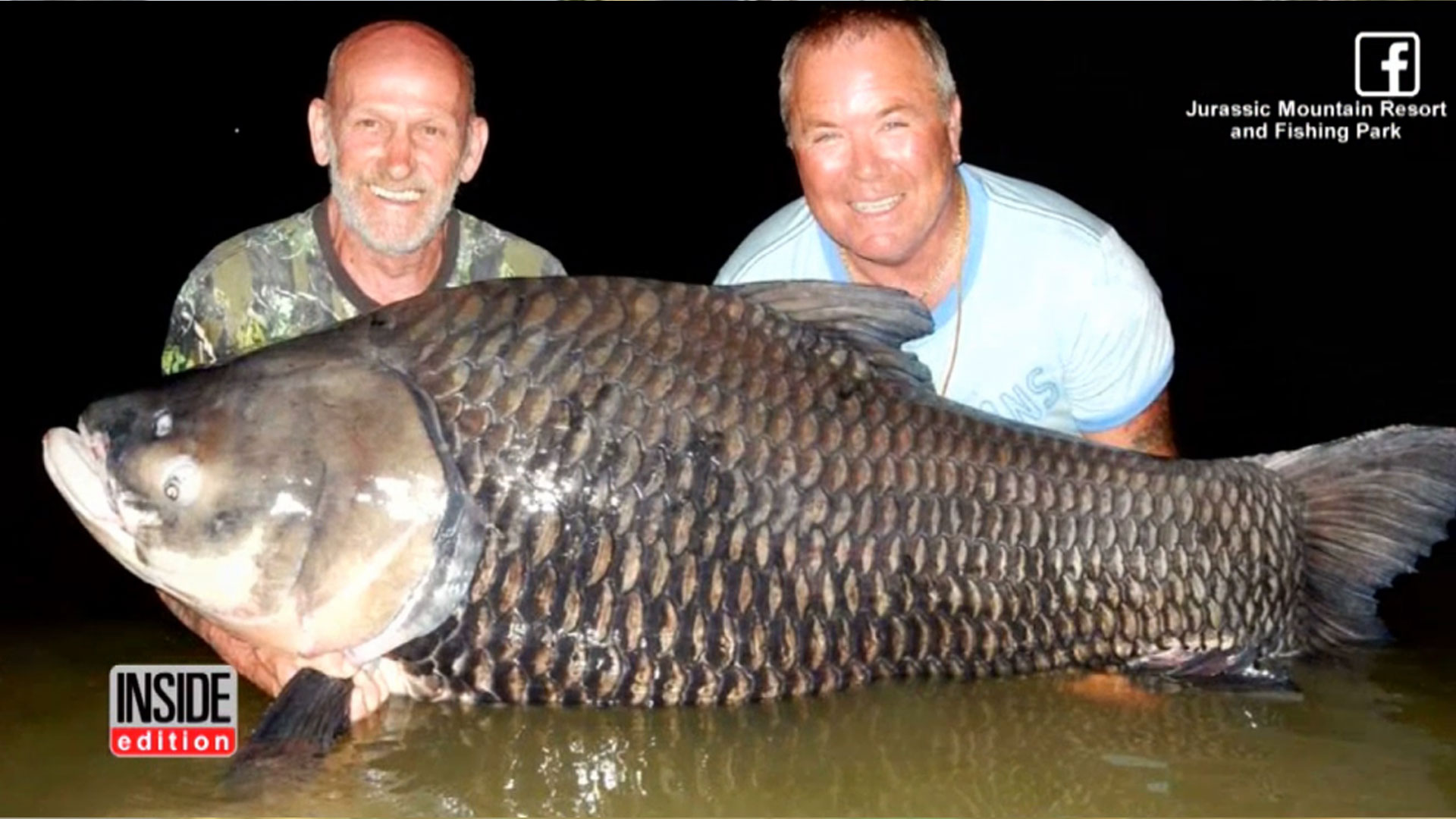 Fish tale: Massive carp caught in Point Edward lives to fight