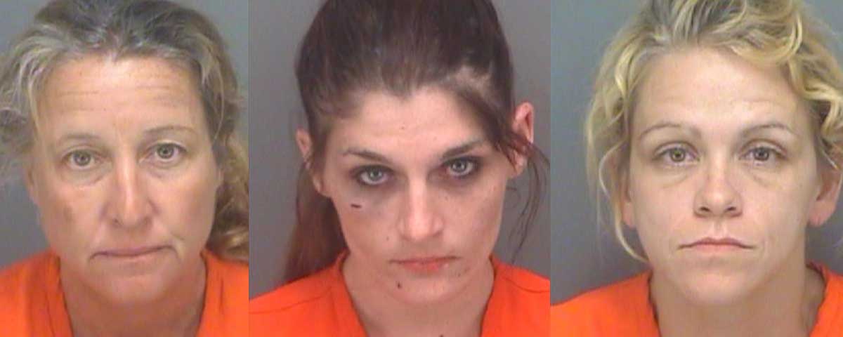 Prostitution Crimes in Pinellas County