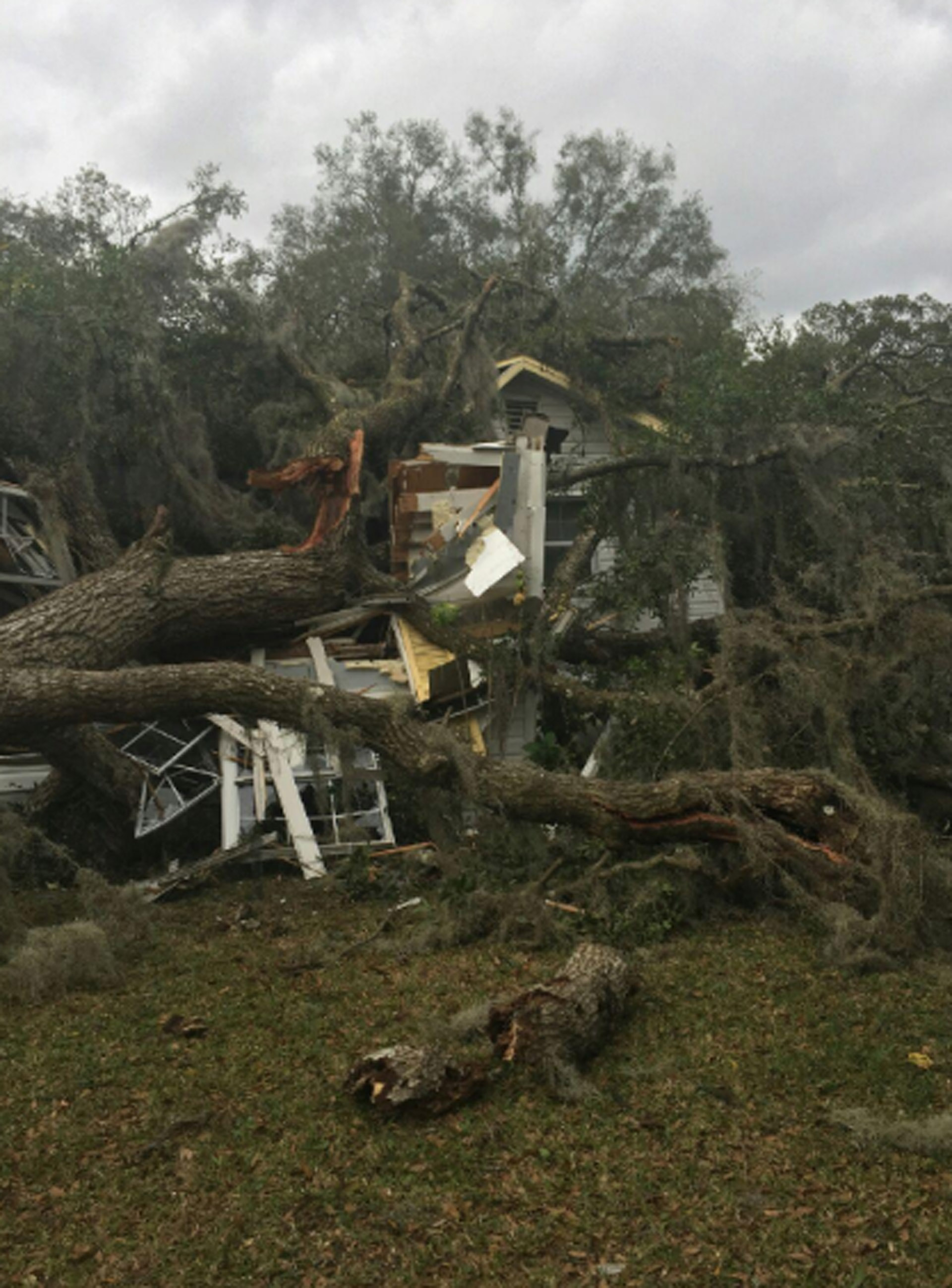 Citrus County Accident Reports Today - uqnrm2t