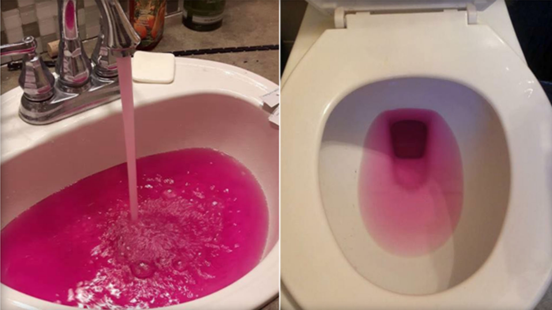 Why Is My Toilet Water Pink? The Shocking Truth Revealed