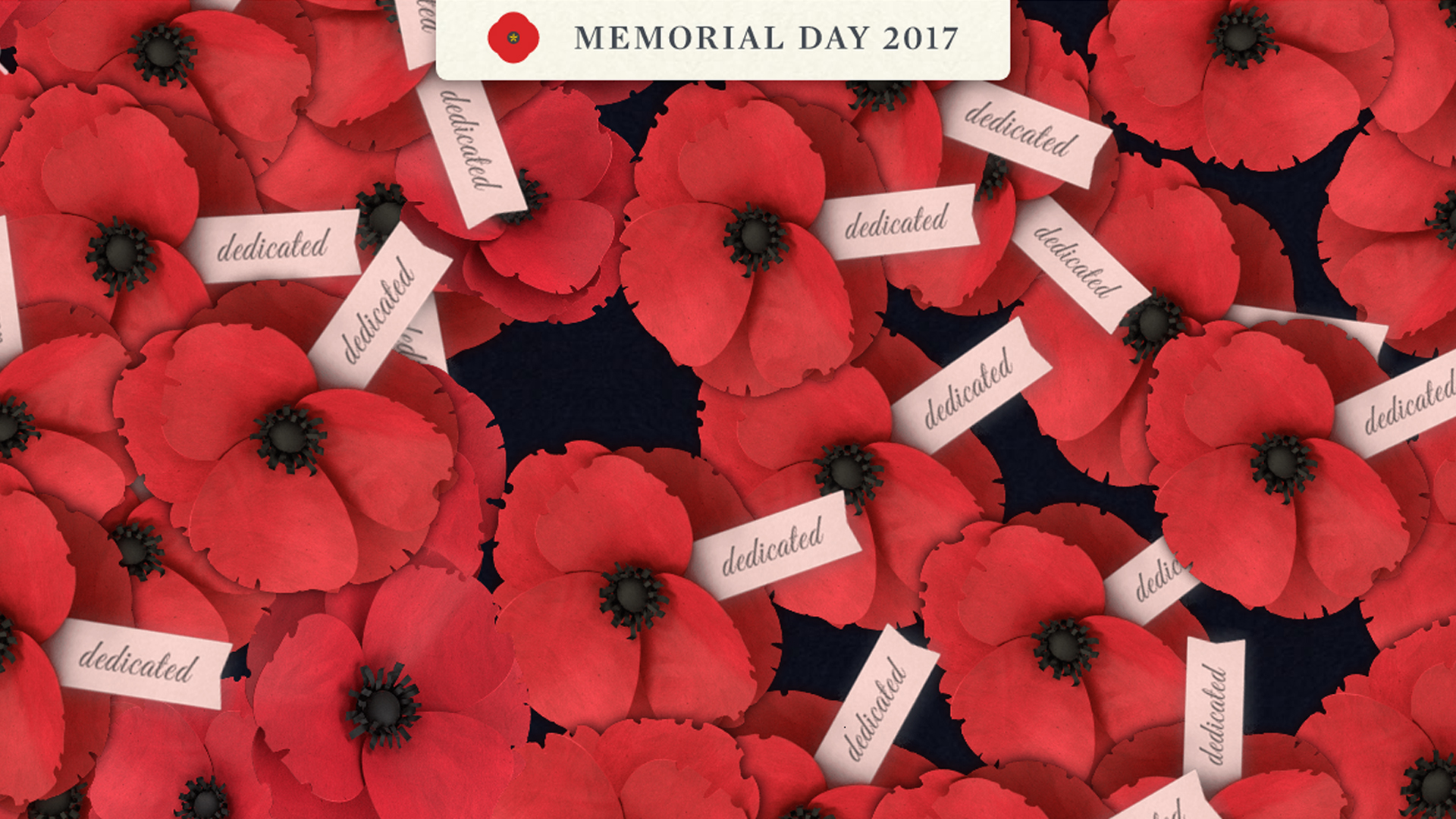 Usaa Flowers Best Flower Site