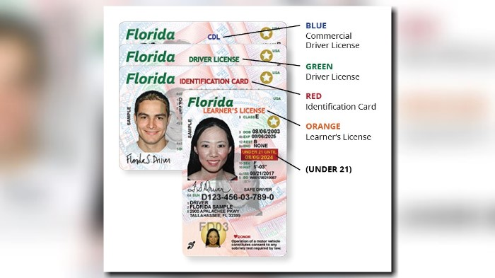 Florida driver's license gets a new look
