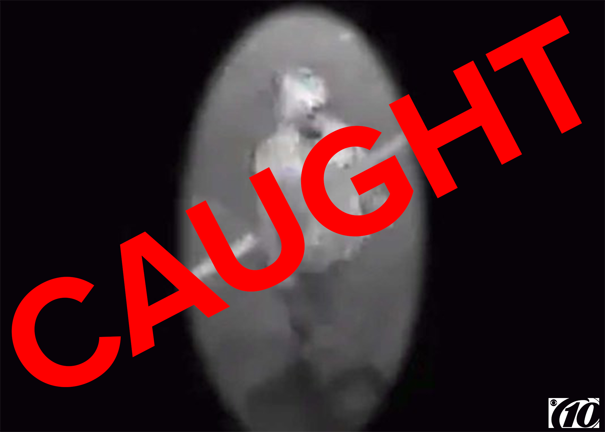 Arrests In Seminole County Fl - cxdk6gj