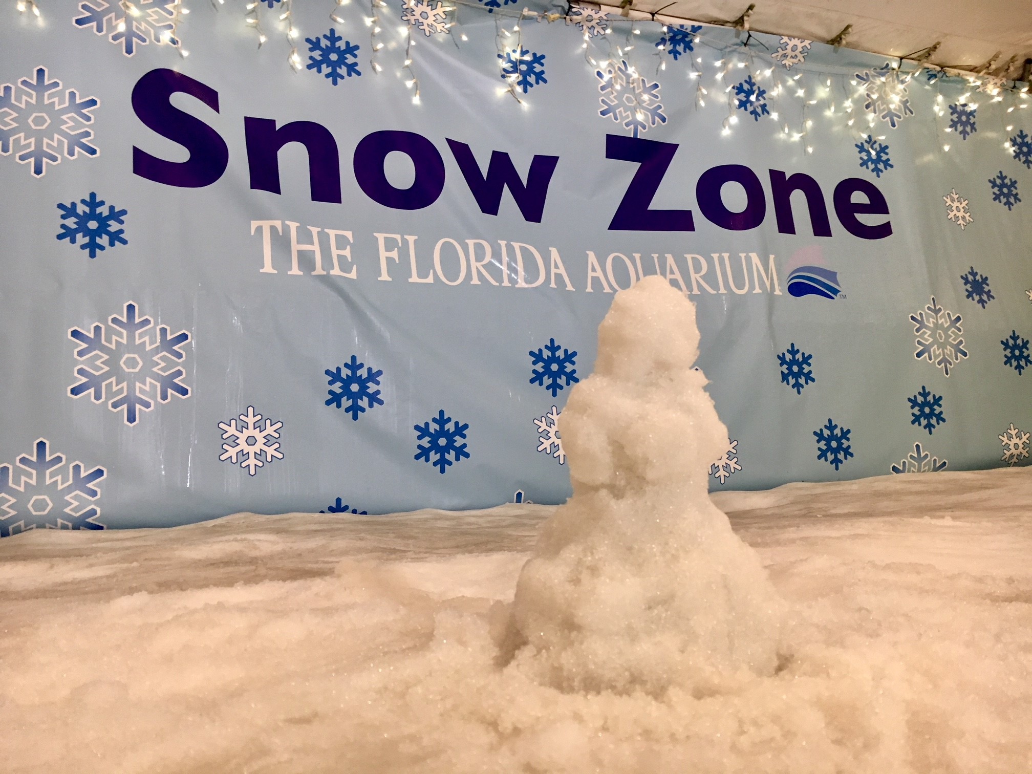 Snow in Tampa? It's possible, say meteorologists