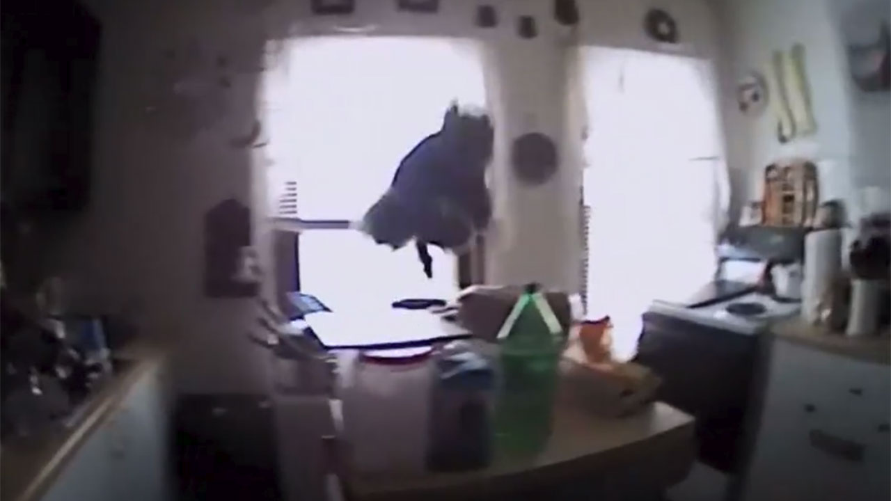 VIDEO | Bodycam captures squirrel jumping at officer | wkyc.com