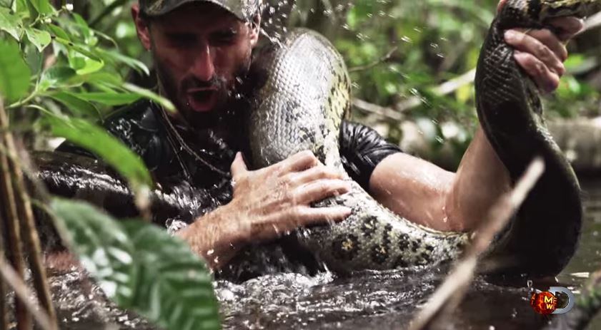 So, about that guy getting 'Eaten Alive' by a snake... | wtsp.com