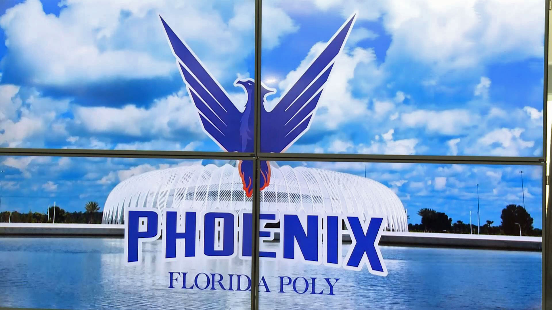 Florida Polytechnic reveals new mascot | wtsp.com