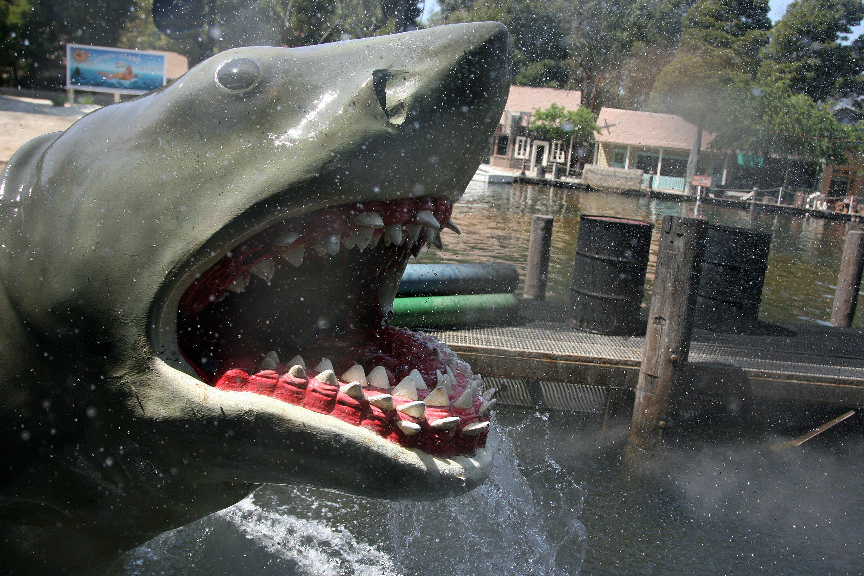 JAWS returns to theaters for 40th Anniversary | wtsp.com