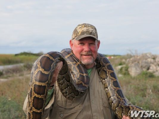 Expanded state python hunt in works for 2016 | wtsp.com